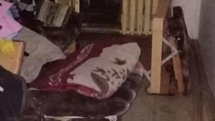 Пожар на улице Курчатова в Обнинске: спасатели оперативно ликвидировали возгорание — Настоящий Обнинск