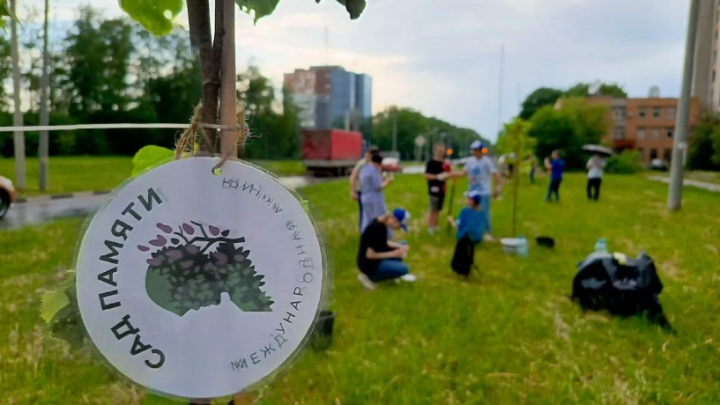 В Обнинске высадили «Сад памяти» в честь ветеранов и героев СВО — Настоящий Обнинск