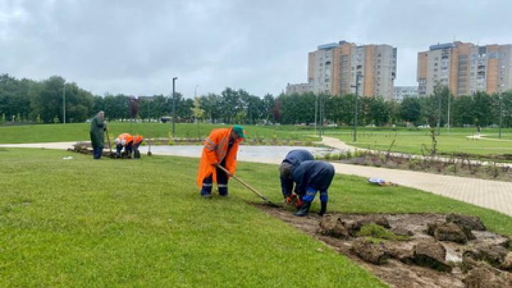 В Обнинске продолжается озеленение городских территорий — Настоящий Обнинск