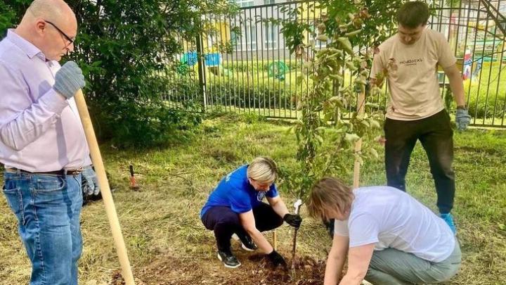 В Калужской области посадили яблони в честь героя СВО из Обнинска — Настоящий Обнинск