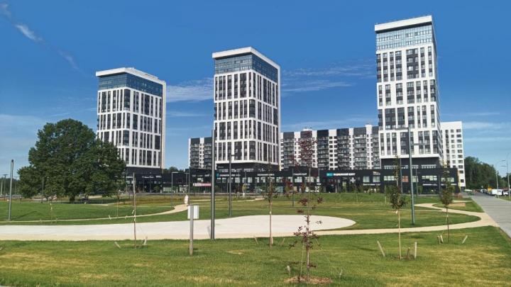 Продолжается посадка кустарников на площади у Дома учёных — Настоящий Обнинск