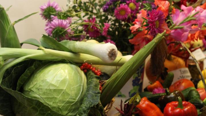 Цены на продукты и топливо в Калужской области остаются стабильными — Настоящий Обнинск