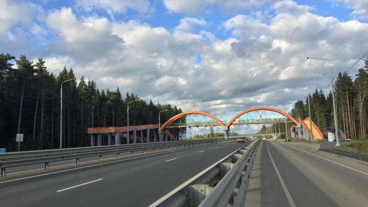 На Киевском шоссе продолжается реконструкция участка трассы М-3 «Украина» — Настоящий Обнинск