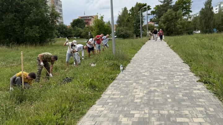 Новая аллея в Обнинске — Настоящий Обнинск