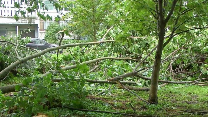 В Обнинске продолжают устранять последствия ураганного ветра — Настоящий Обнинск