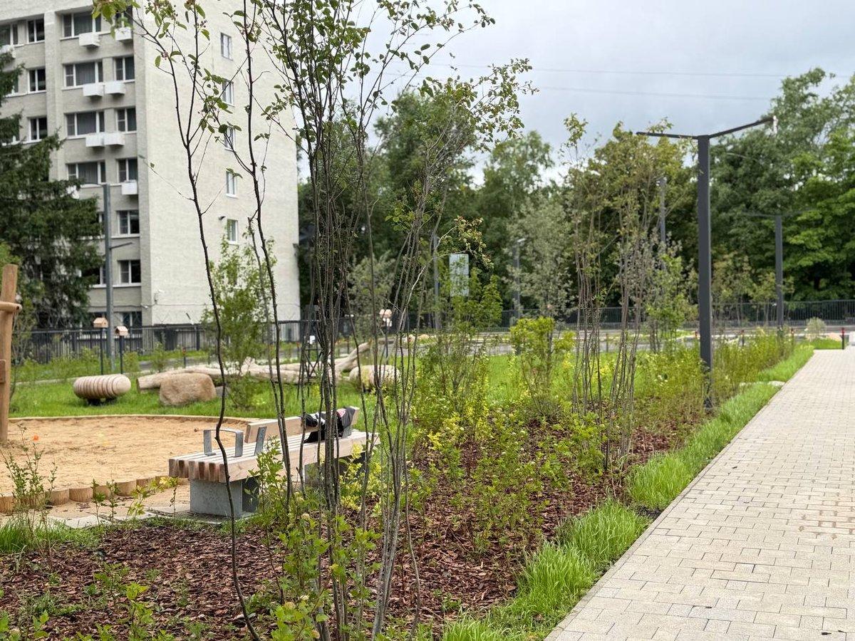 Новая площадка на Курчатова — Настоящий Обнинск