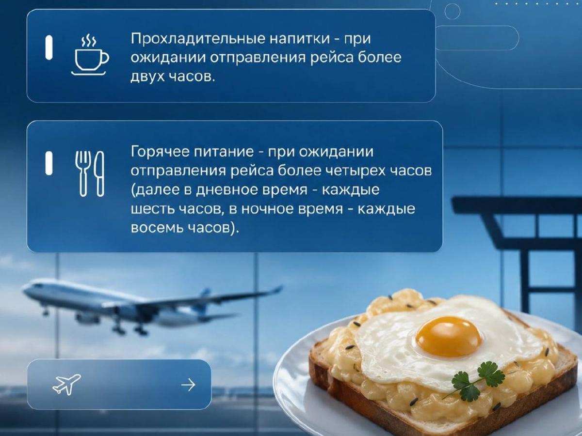 Права пассажиров при задержках авиарейсов — Настоящий Обнинск