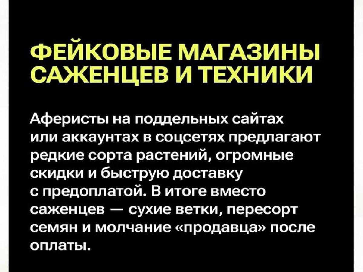 Мошенники заманивают дачников — Настоящий Обнинск