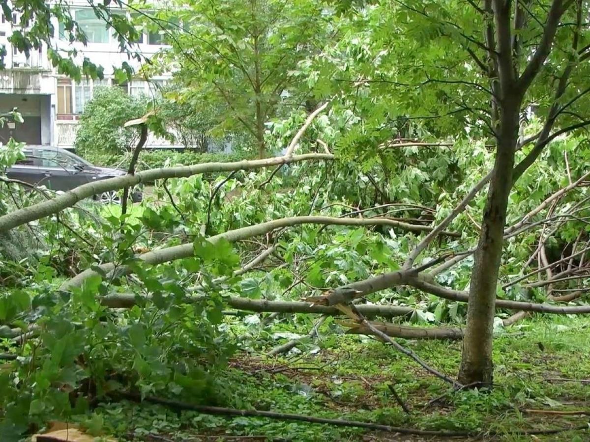 В Обнинске продолжают устранять последствия ураганного ветра — Настоящий Обнинск